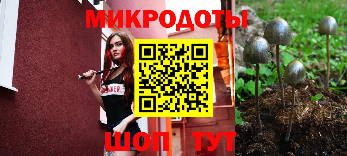 Галлюциногенные грибы Magic Shrooms  Галлюциногенные грибы Psilocybe  Вязьма  Вход с VPN 